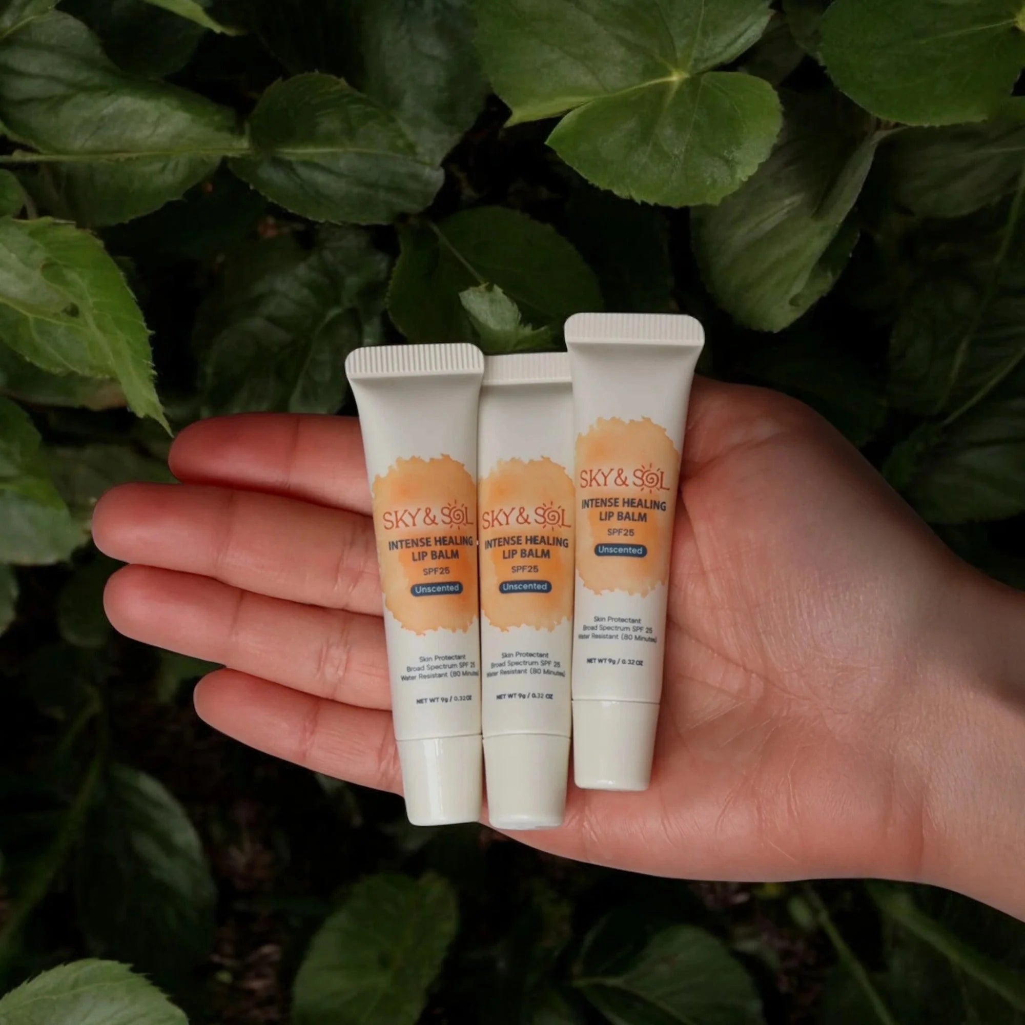 Sky and Sol Lip Jelly SPF 25 (Pack of 3)